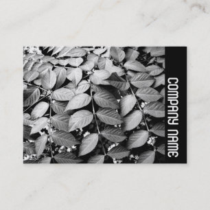 Carte De Visite Side Band - Feuille
