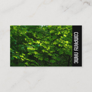 Carte De Visite Side Band - Feuilles au printemps