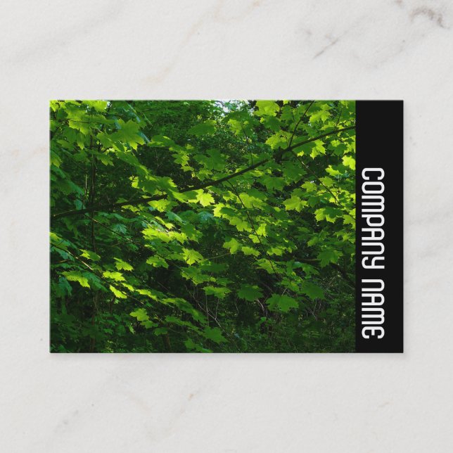 Carte De Visite Side Band - Feuilles du printemps (Devant)
