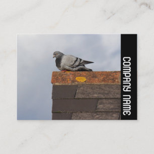 Carte De Visite Side Band - Good Morning Pigeon