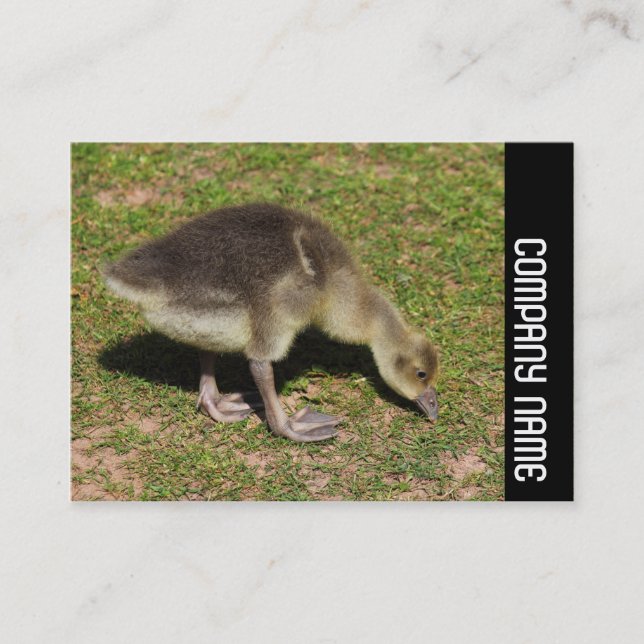 Carte De Visite Side Band - Gosling (Devant)