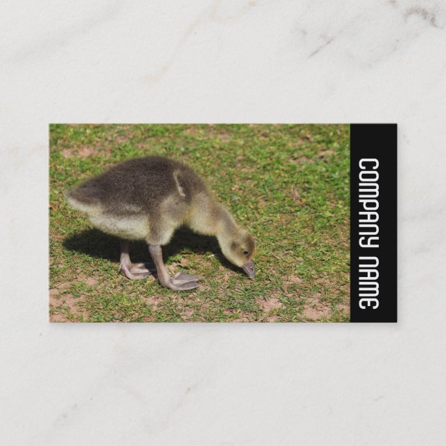 Carte De Visite Side Band - Gosling (Devant)