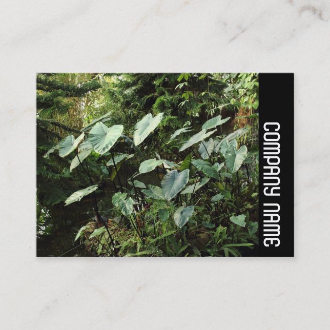 Carte De Visite Side Band - Jardins botaniques (Devant)