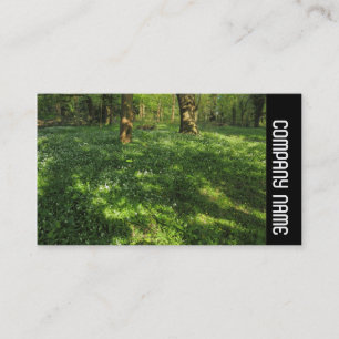 Carte De Visite Side Band - Spring in the Woods