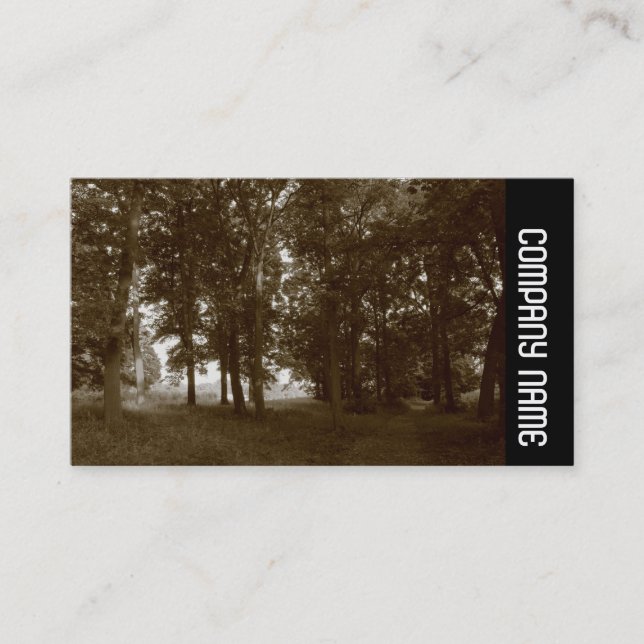 Carte De Visite Side Band - Woods, Bute Park Cardiff (Devant)