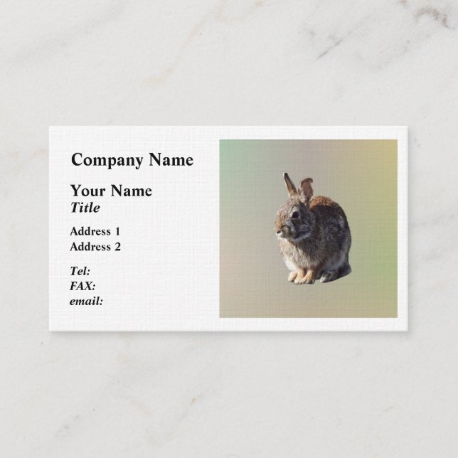 Carte De Visite Siège de lapin (Devant)
