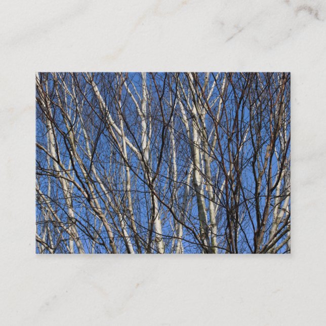 Carte De Visite Silver Birch Branches (Devant)