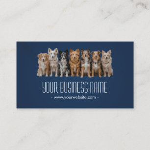 Carte de visite simple pour promeneur de chiens /