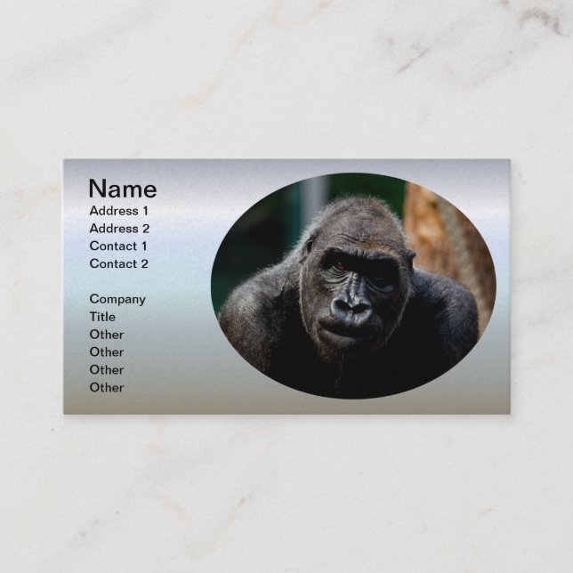 Carte De Visite Singe Primate (Devant)
