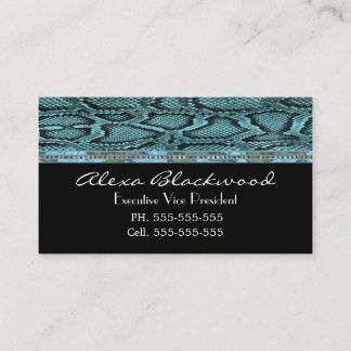 Carte De Visite Slayter Classic Unique Professionnel