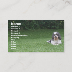 Carte De Visite Soin des animaux familiers/carte de visite de soin