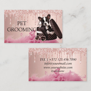 Carte De Visite Soins pour Animaux Salon de Toilettage pour Chiots