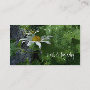 Carte De Visite Soleil après la pluie