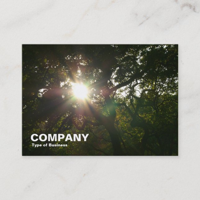 Carte De Visite Soleil dans les arbres (Devant)