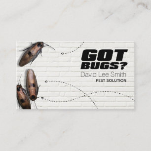 Carte De Visite Solution pour animaux