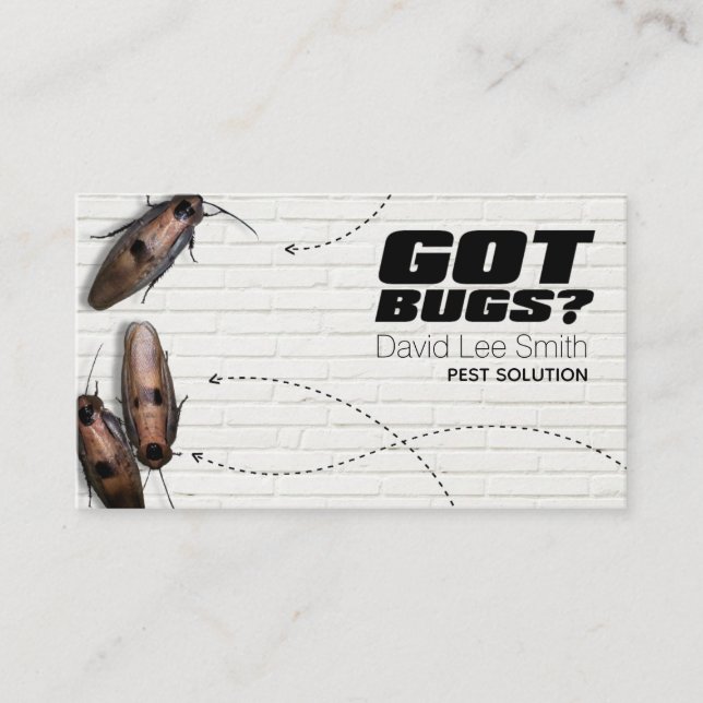 Carte De Visite Solution pour animaux (Devant)