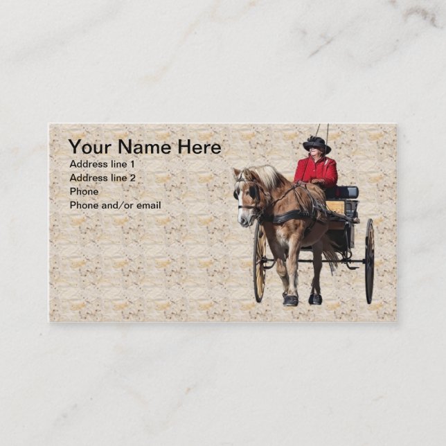 CARTE DE VISITE SOTTISES #1 (Devant)