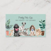 Spa pour animaux de compagnie