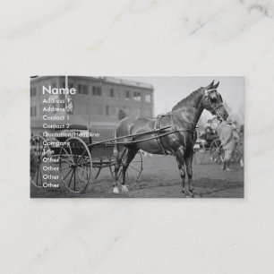 Carte De Visite Spectacle Cheval vintage