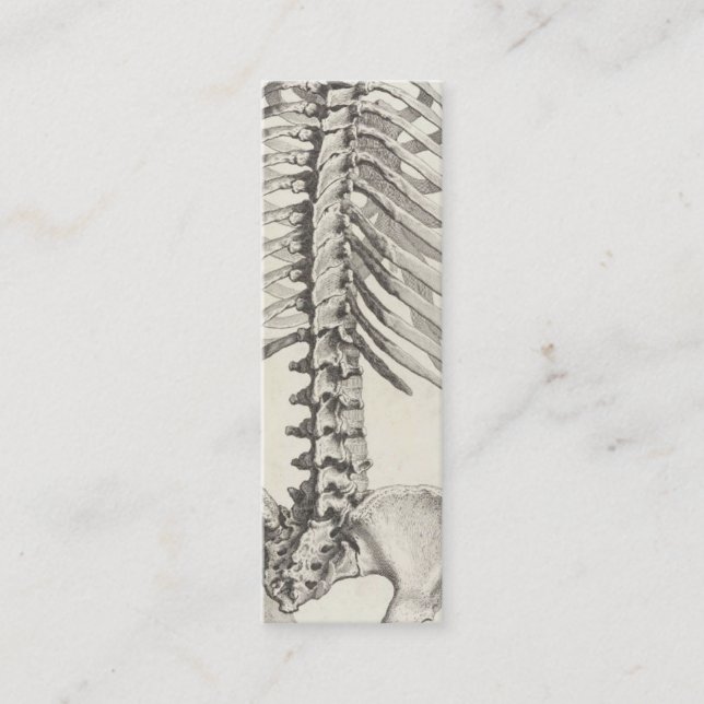 Carte de visite spinal (Devant)