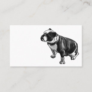 Carte De Visite Stable est suffisant