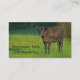 Carte de visite standard 3 de ferme de Taureau ou