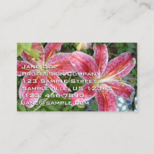 Carte De Visite Stargazer Lilies Jardin Floral