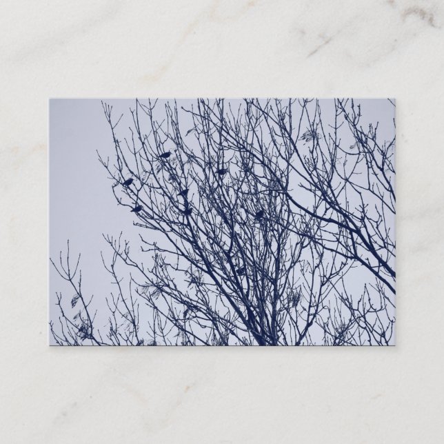 Carte De Visite Starlings dans un arbre (Devant)