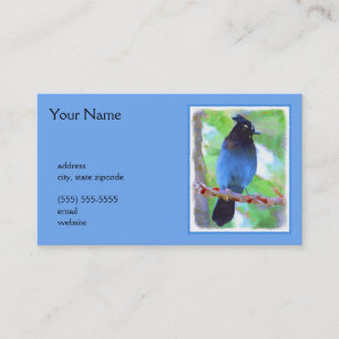 Carte De Visite Steller's Jay Painting - Art original pour oiseaux