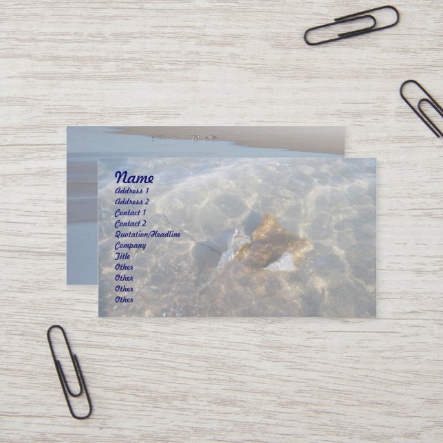 Carte de visite Stingray OBX Série Cownose (Devant/Arrière en situation)