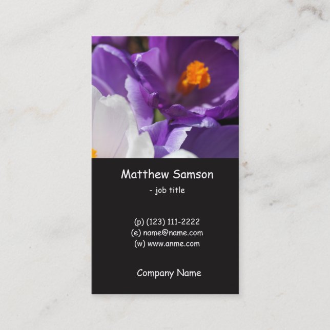 Carte De Visite style simple, fleurs de crocus blanches et violett (Devant)
