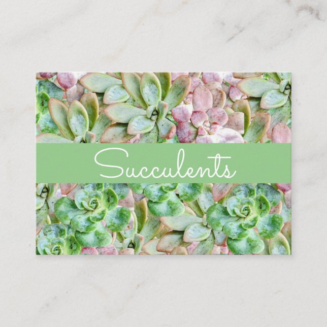 Carte De Visite Succulente Colorée    (Devant)