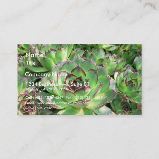 Carte De Visite Succulents (Devant)