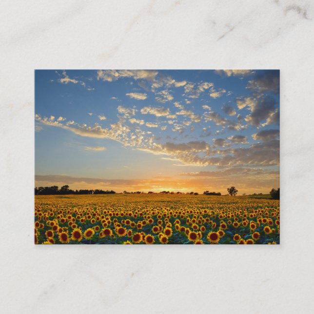 Carte de visite Sunflowers 2 (Devant)