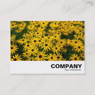 Carte De Visite Susans aux yeux noirs (Rudbeckia Hirta)