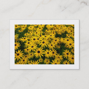 Carte De Visite Susans aux yeux noirs (Rudbeckia Hirta) (Bordés)