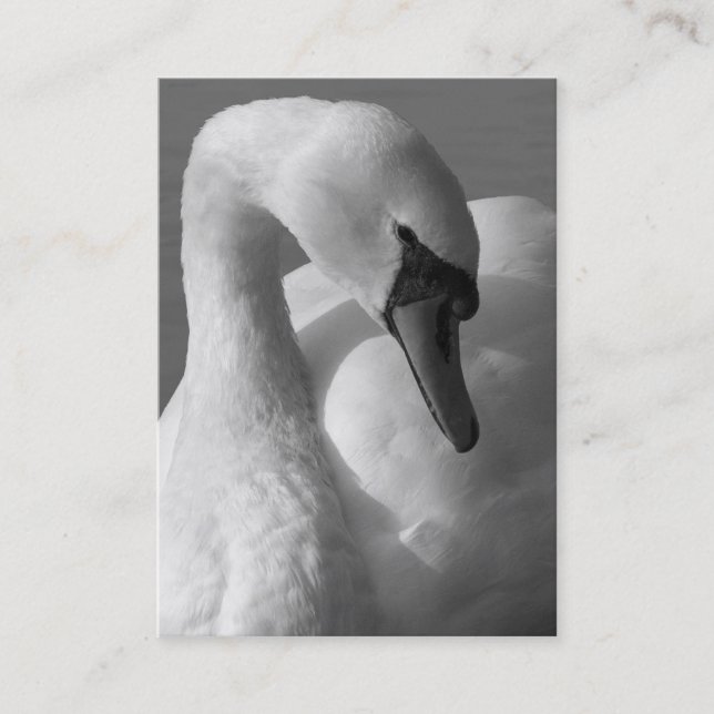 Carte De Visite Swan B&W (Devant)