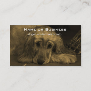 Carte De Visite Sweet Dog - Golden Retriever en Sepia Tones