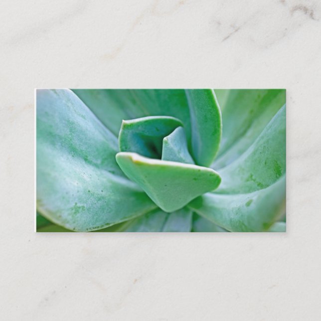 Carte De Visite Swirl Succulent (Devant)