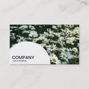 Carte De Visite Table ronde en demi-cercle - Sédum Automne Glory