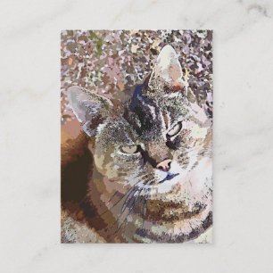 CARTE DE VISITE TABLEAU CAT