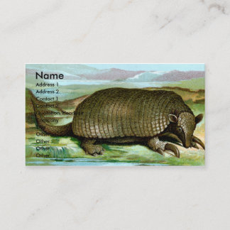Carte De Visite Tatou géant