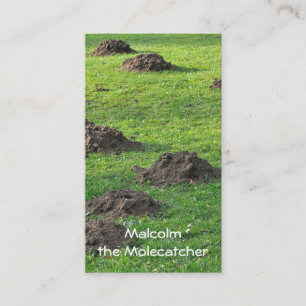 Carte De Visite Taupinières dans une pelouse