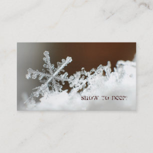 Carte De Visite Tempête de neige de 2009