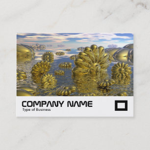 Carte De Visite Terre de Midas