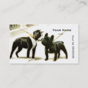 CARTE DE VISITE TERRIER DE BOSTON & BOULEDOGUE FRANÇAIS