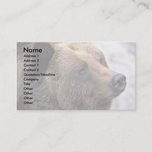 Carte De Visite Tête d'ours (Devant)