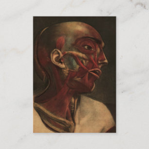 Carte De Visite Tête vintage, cou, et épaules de l'anatomie