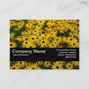 Carte De Visite Texture Band V2 - Rudbeckies à œil noir (Rudbeckia