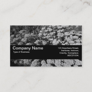 Carte De Visite Texture Band V2 - Sedum "Joie d'Automne"